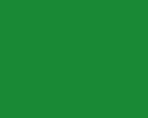 italienische fahne, grün
