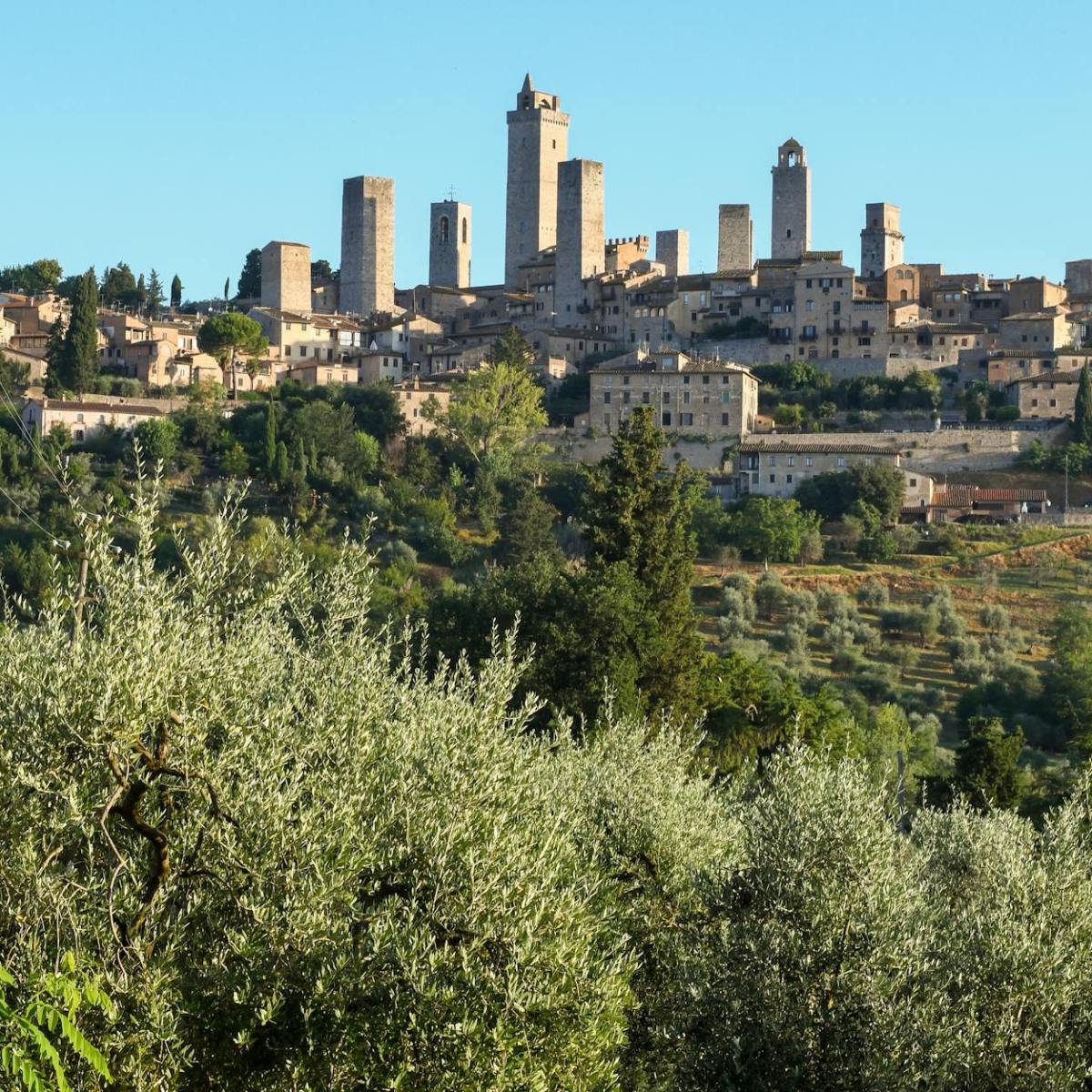 San Gimignano in der Toskana: Das Manhattan des Mittelalters