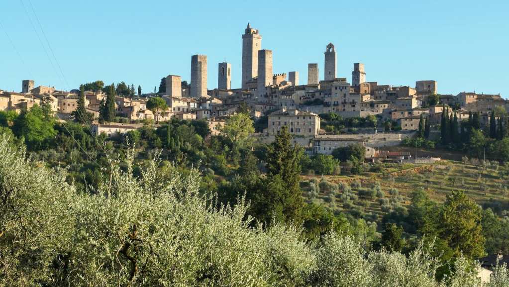 townscape with towers and bushes in foreground