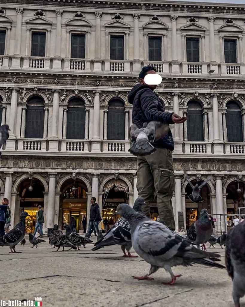 Tauben füttern auf dem Markusplatz in Venedig