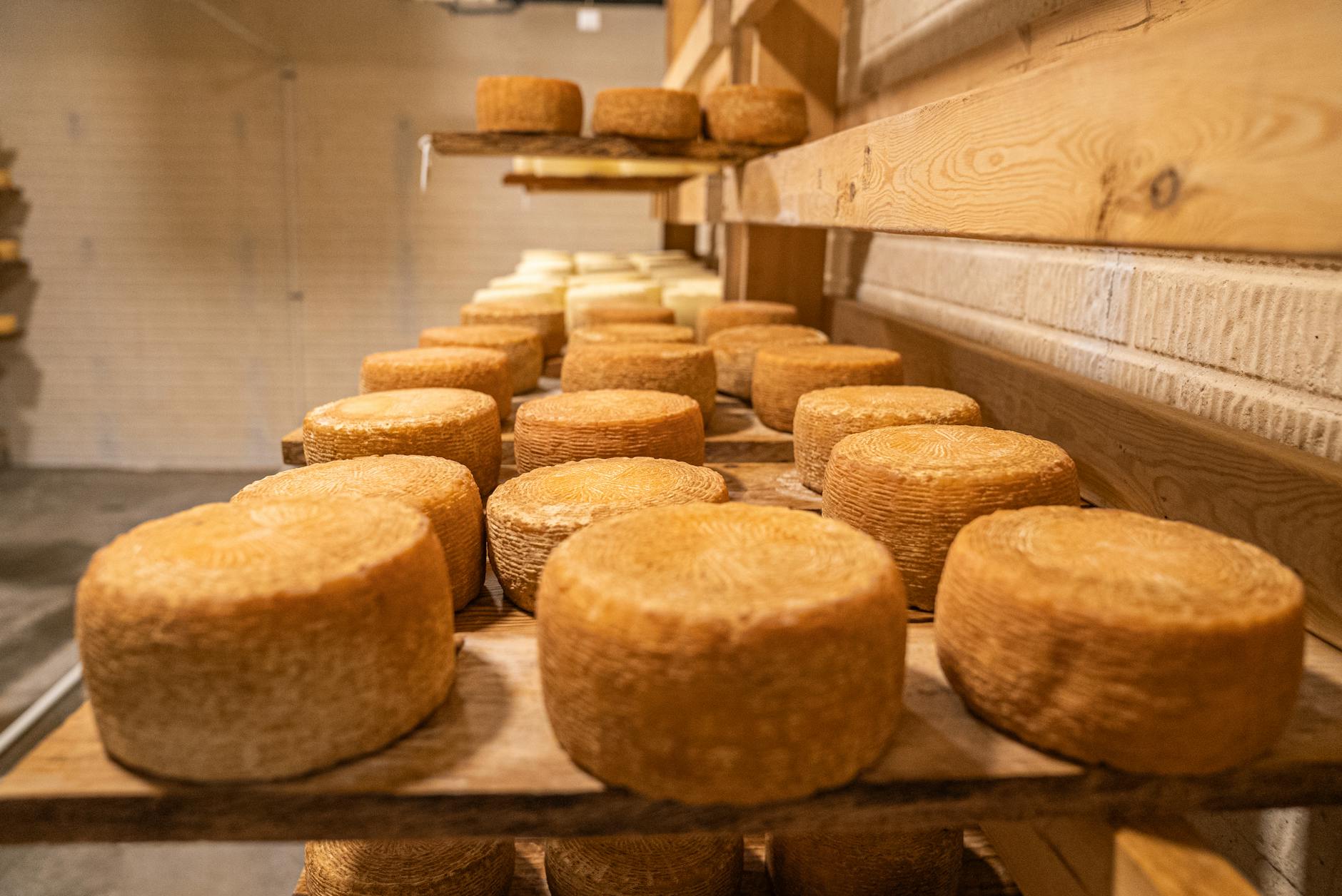 foto ravvicinata di formaggio fresco