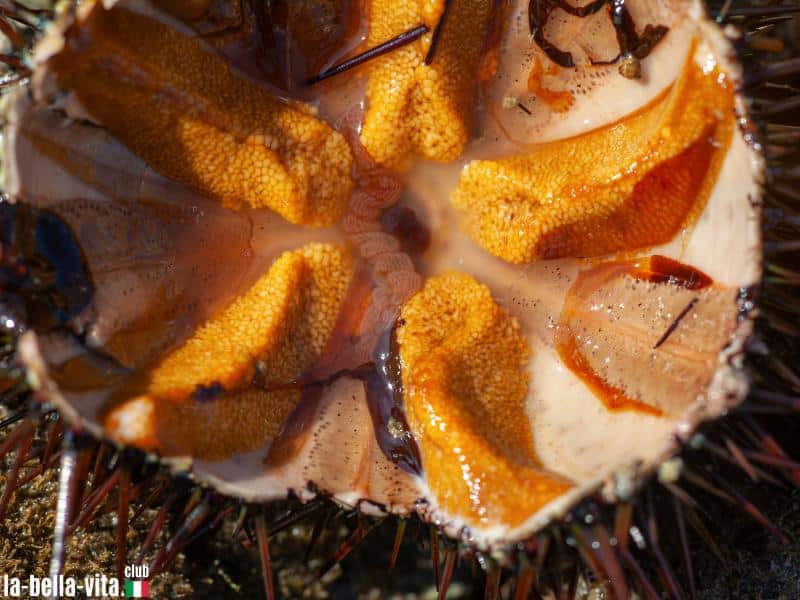 Foto: Getty Images Signature/Dogan via canva.com