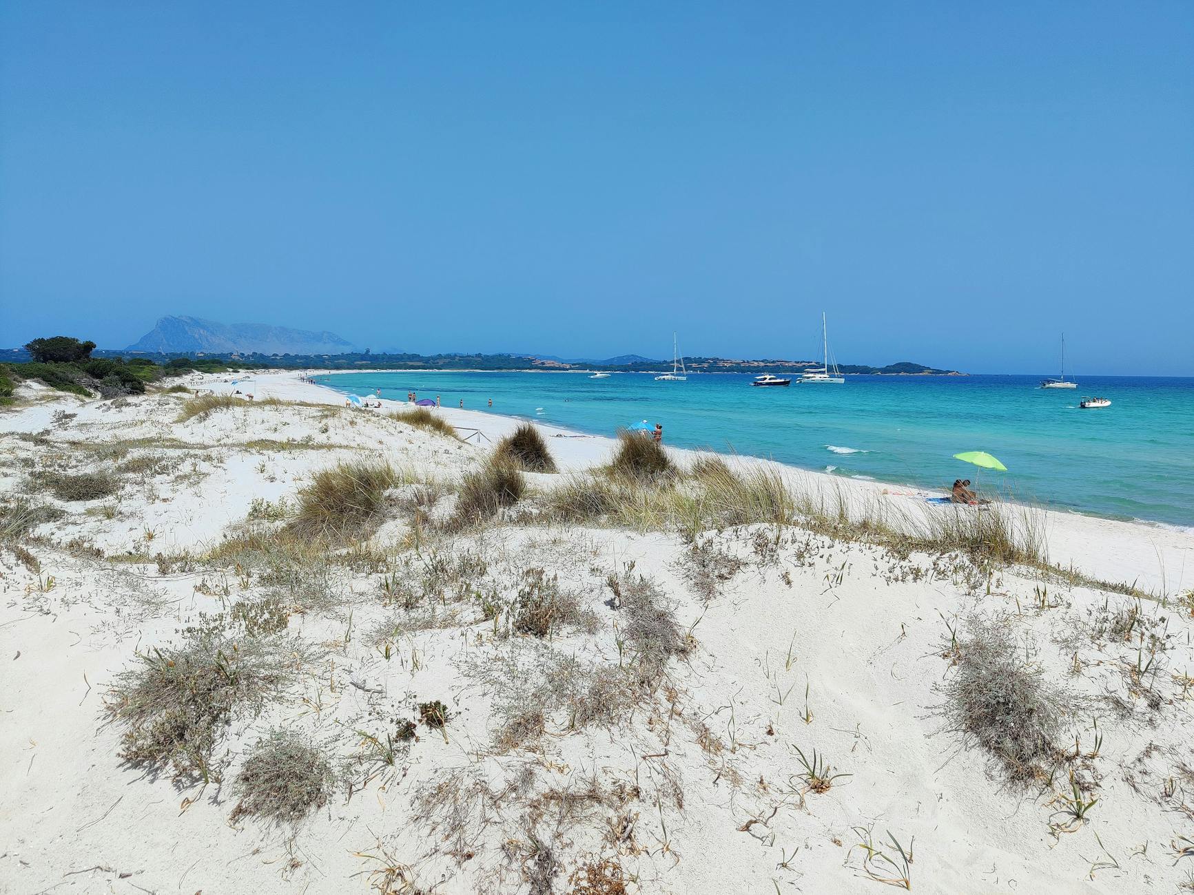 vista panoramica della spiaggia di cala brandinchi in sardegna