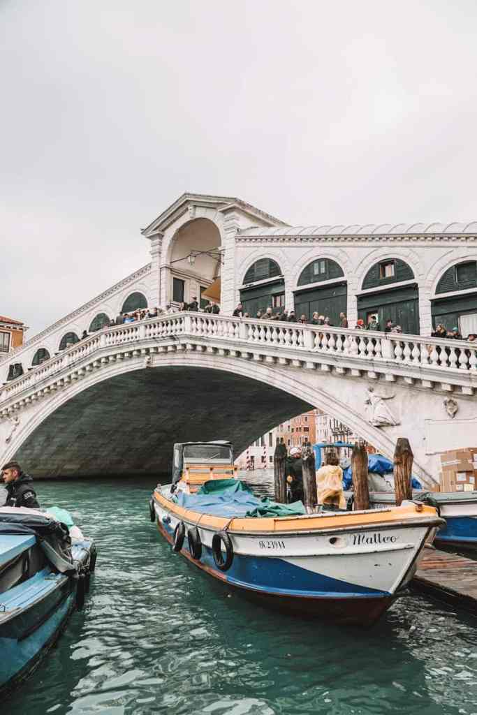 white and blue boat on the river