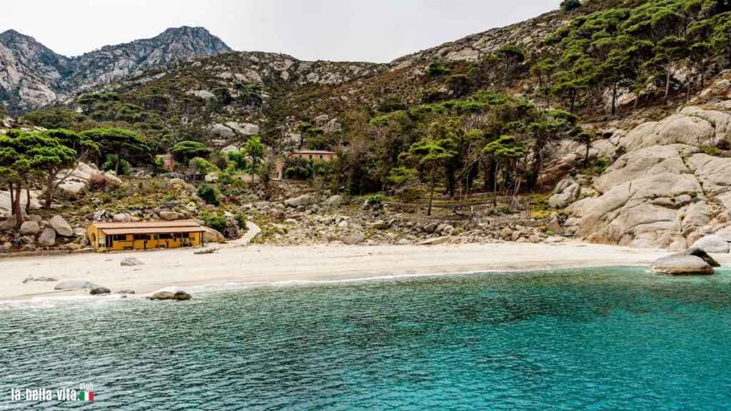 Die Cala Maestra auf Montecristo, eine abgelegene Bucht mit feinem Sandstrand und umgeben von felsigen Hügeln und mediterraner Vegetation.