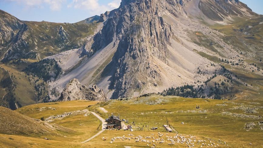 trail towards a mountain