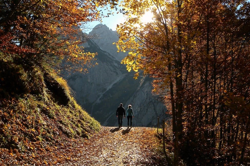 Par går på sti mellem træer