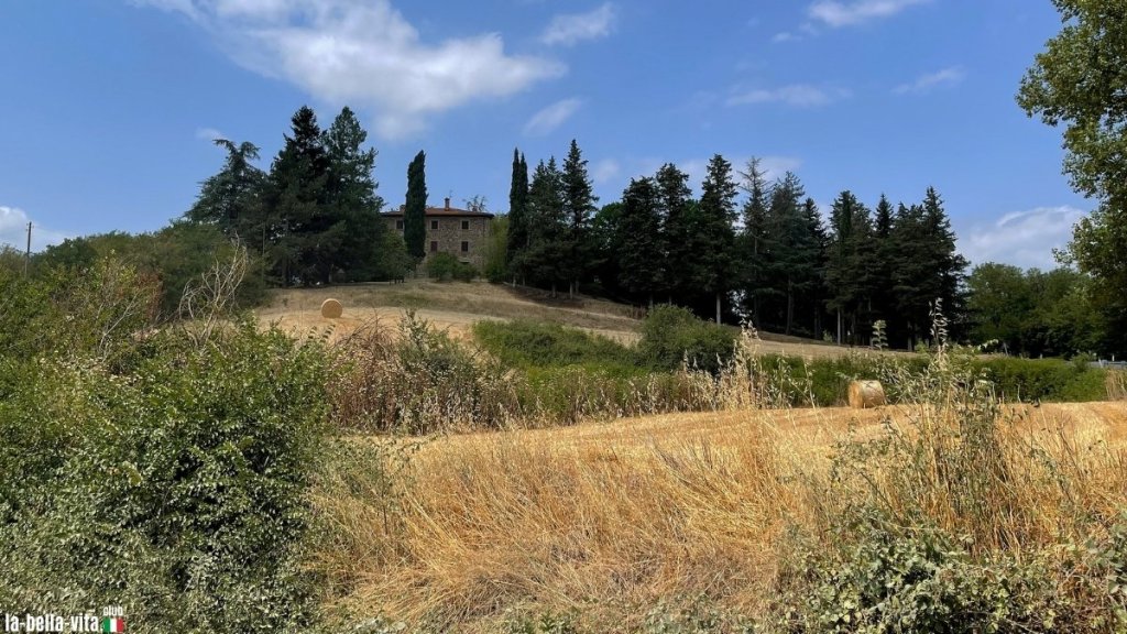 Wild and lush: a typical country estate in the Maremma in Tuscany