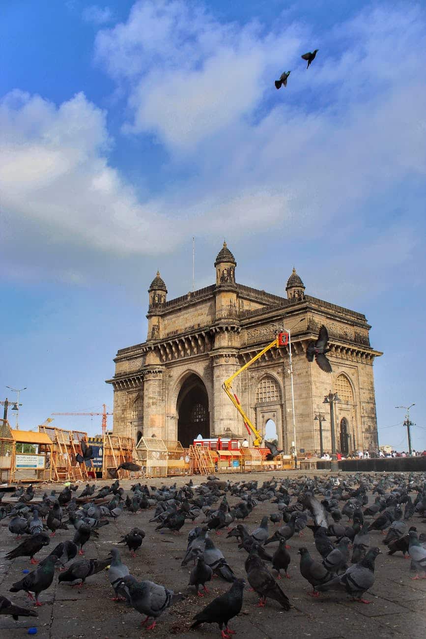 iconic gateway of india with flocks of pigeons