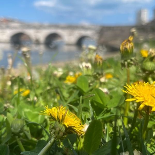 Dolce Vita in Rimini: Wer nur den Strand sieht, verpasst was