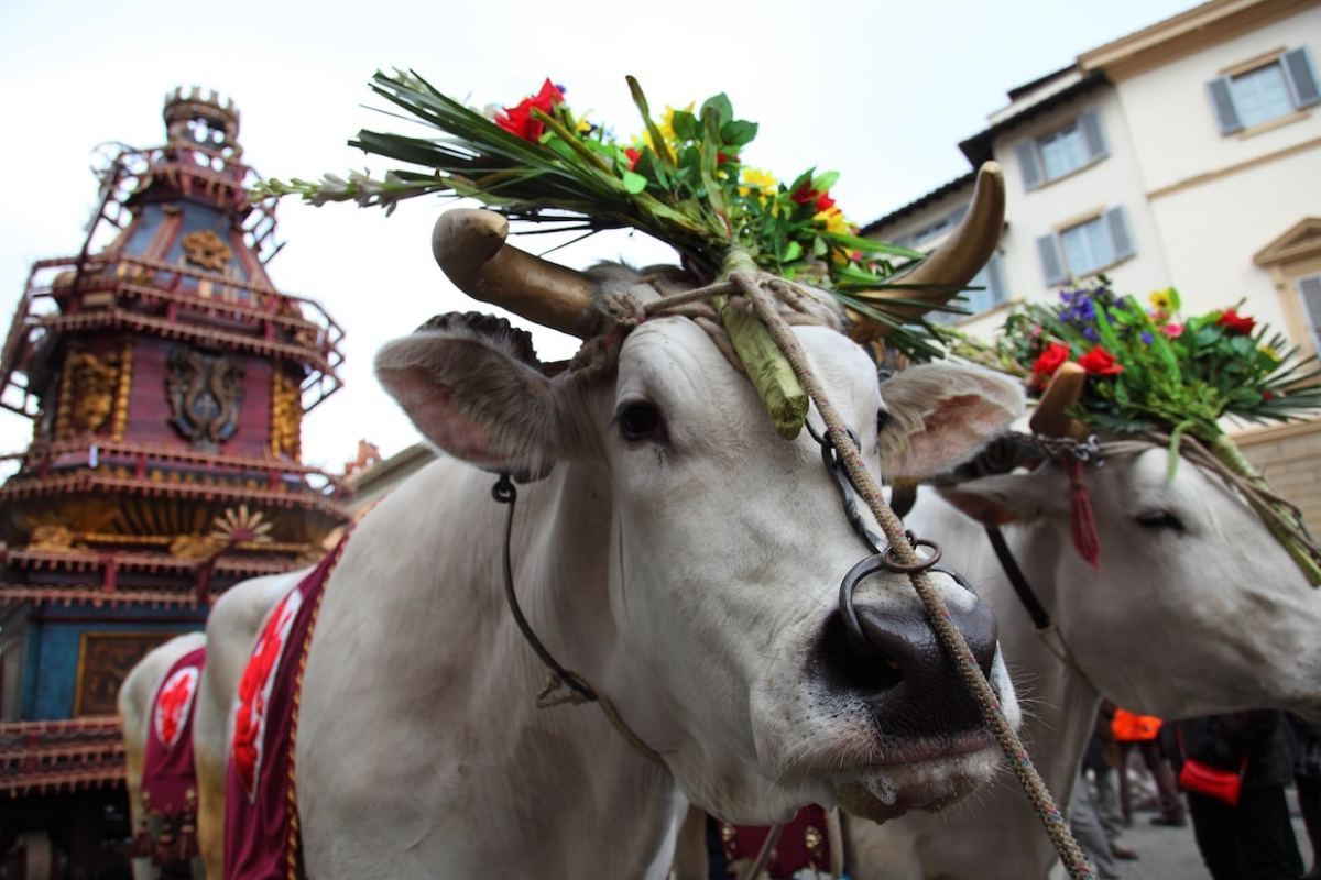 Ostern in Italien. Die schönsten Prozessionen und Traditionen