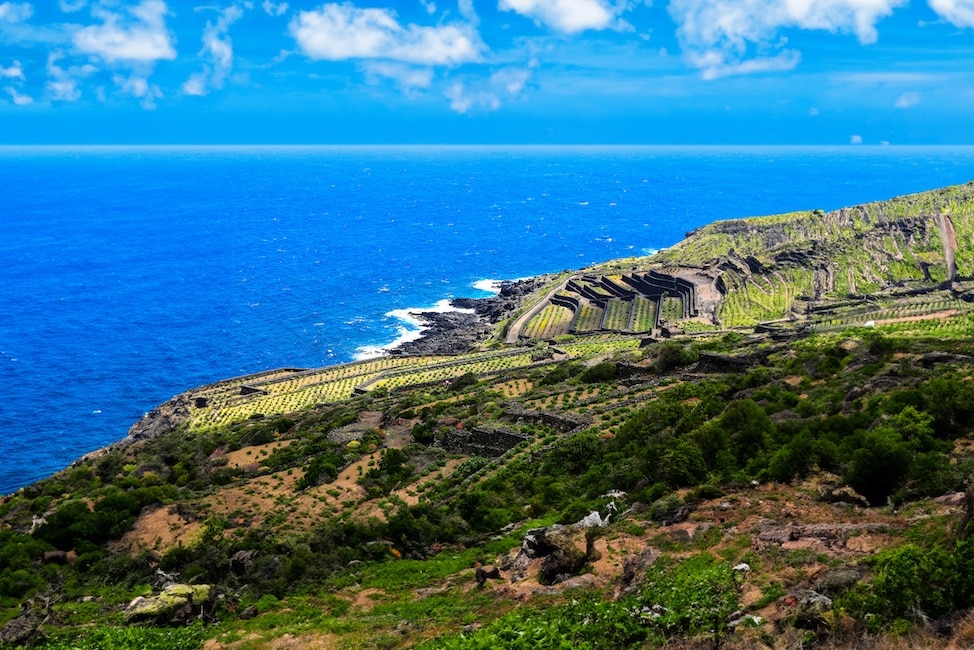 Vista panoramica di un verde paesaggio costiero con campi terrazzati e il blu intenso del mare sullo sfondo.