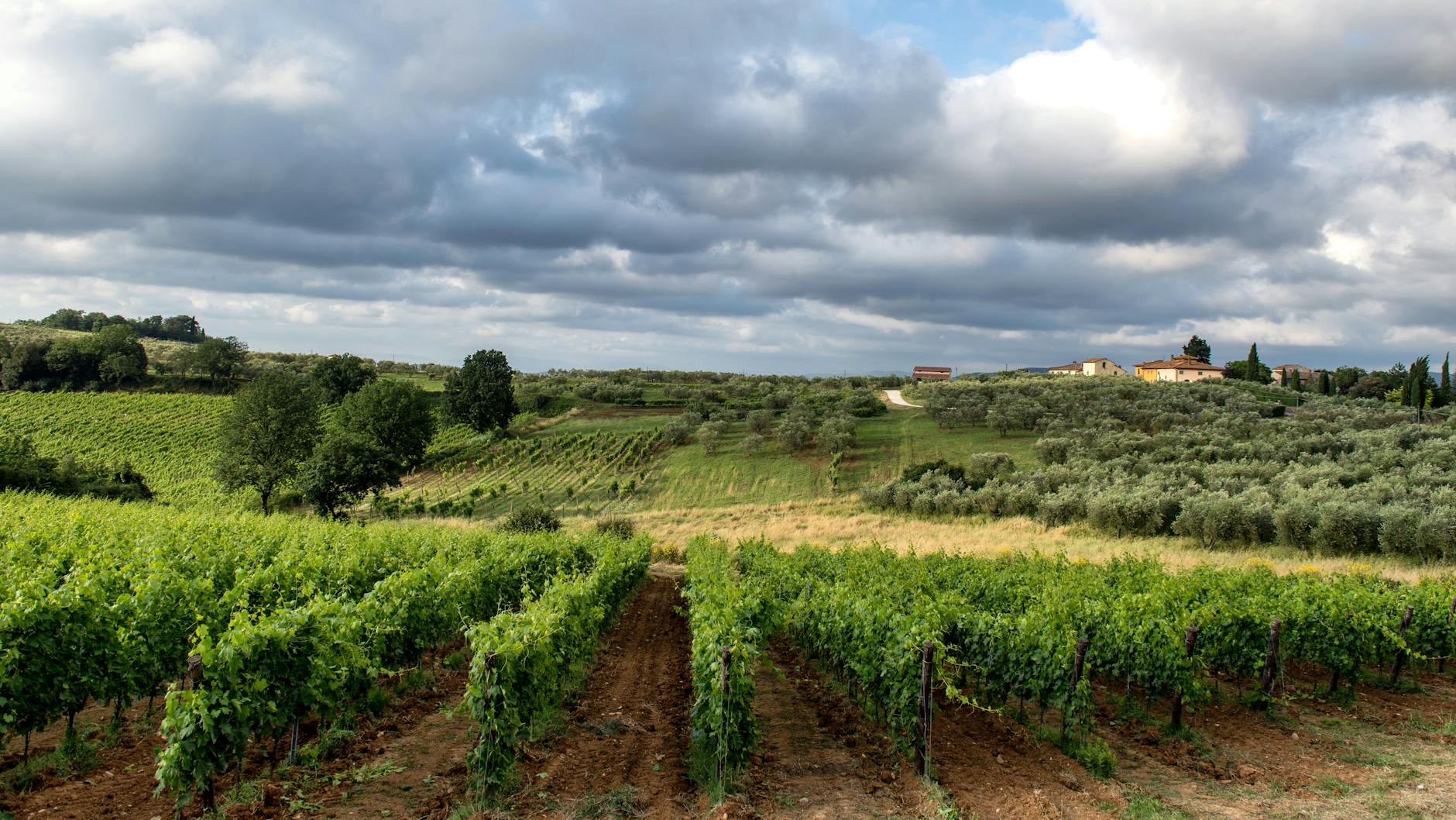 clouds over a summer vineyard - Toskana Dörfer
