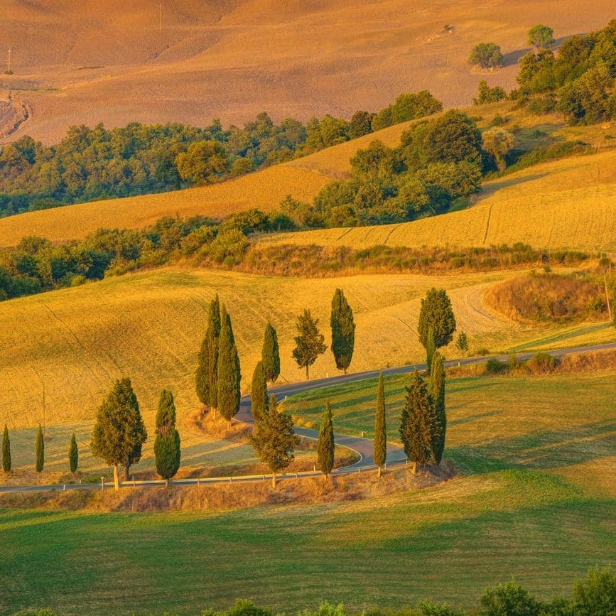 a scenic view of the Tuscan countryside at sunset